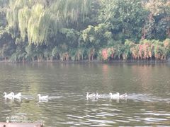 -西安汉城湖景区