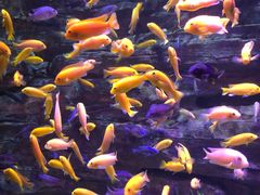 -多彩贵州城极地海洋世界