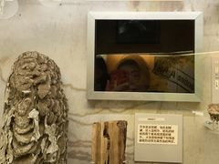 -墨尔本博物馆(Melbourne Museum)