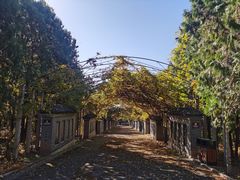 -北京十三陵国家森林公园蟒山景区