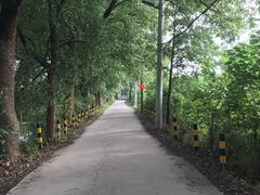 -东湖落雁景区