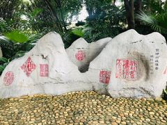 -柳侯公园