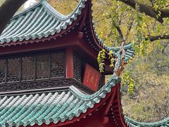 -岳麓山风景名胜区