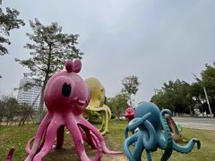 -琅岐红光湖公园