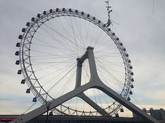 -海河游船-永乐码头(大悲院)