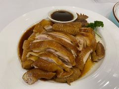 湛江卤水鸡-粤西稻里(富力路店)