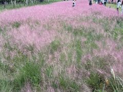 -汉长安城未央宫国家考古遗址公园