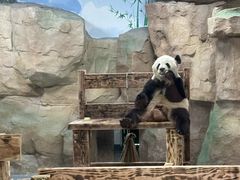 -无锡动物园·太湖欢乐园