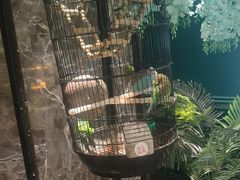 -雀蓝川菜(奥体广场店)