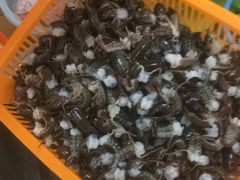 -胖嫂烧烤(武胜路总店)