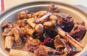 Sheep Shank Bone (Tendon Bone)