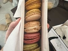 -Pierre Marcolini(德基广场店)