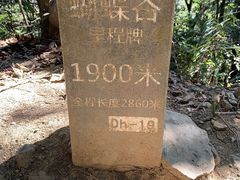 -梧桐山风景名胜区