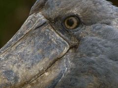 -无招牌海鲜餐厅(怡丰城店)