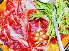 -鮨桐日本料理(望京店)
