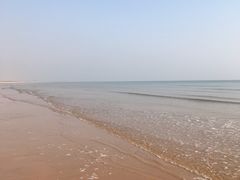 -日照海滨国家森林公园