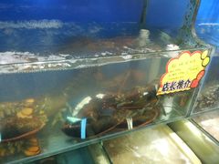 -蚝专家(北滘店)