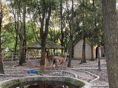 -昆山城市生态森林公园