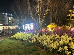 -南翔镇银翔湖公园