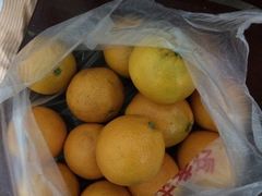 -回头客精品果业(西门店)