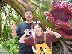 -奥兰多迪士尼动物王国乐园