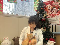 -美联众合动物医院·24h京西诊疗中心