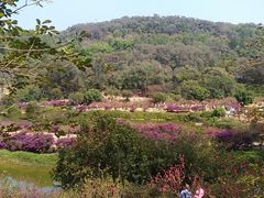 -南国桃园旅游度假区