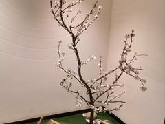 -香雪海·蘇面館(湖滨店)