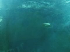 -苏州海洋馆