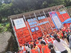 -雅鲁激流探险漂流