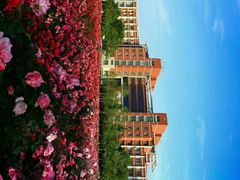 -山东科技大学（青岛校区）-图书馆