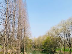 -昆山城市生态森林公园