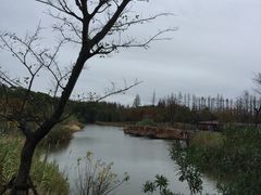 -上海长兴岛郊野公园