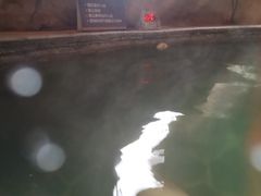 -中华郡温泉
