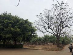 -涠洲岛-圣母堂