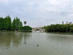 -江心屿景区