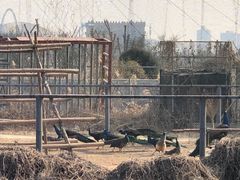 -泉城欧乐堡梦幻世界