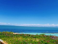 -青海湖国家重点风景名胜区