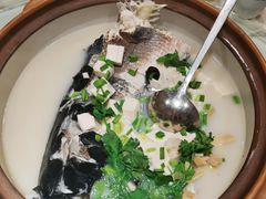 姜君千岛湖鱼头-姜君·千岛湖鱼头馆(浦东大道店)
