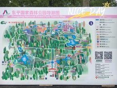 -东平国家森林公园