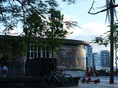 -布里斯班南岸公园