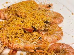 避风塘大虾-骏莱海鲜鱼港(五角场店)