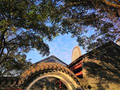 -李小龙乐园(顺德均安店)