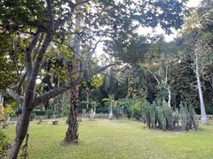 -中国科学院西双版纳热带植物园