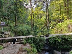 -素山寺森林公园