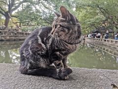 -西园戒幢律寺