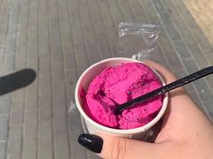 -BLACKSWAN黑天鹅(环球店)