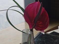 -无锡苏宁JW万豪酒店·悦府65中餐厅