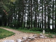 -东湖落雁景区