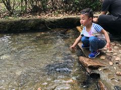 -白马涧龙池景区